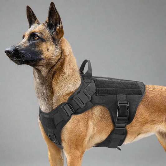 K9 dog harness