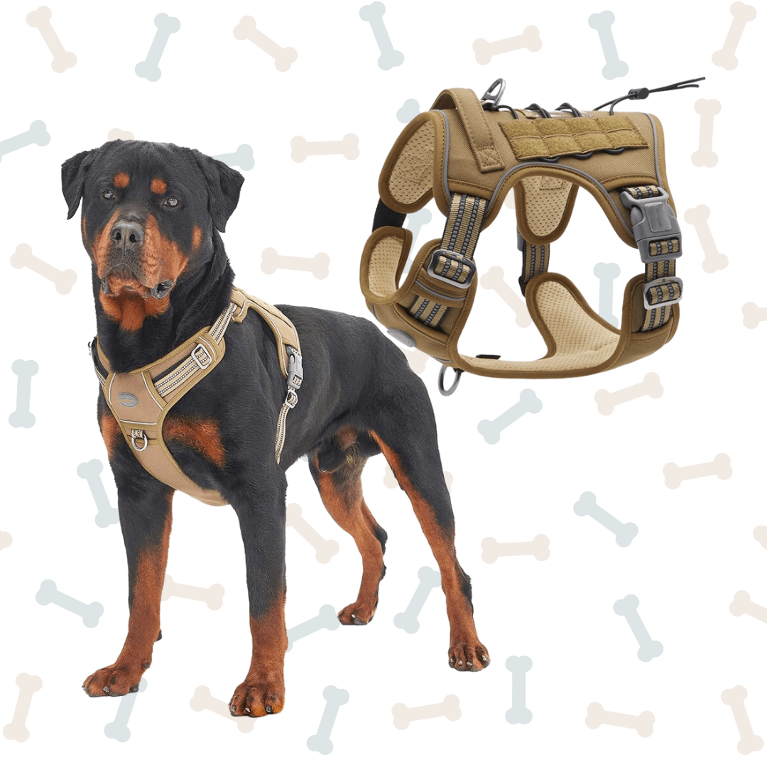 Tactical sales puppy harness