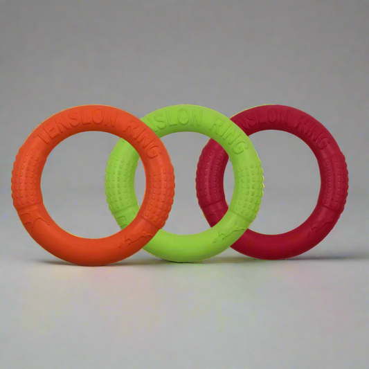Floating Dog Fetch Ring