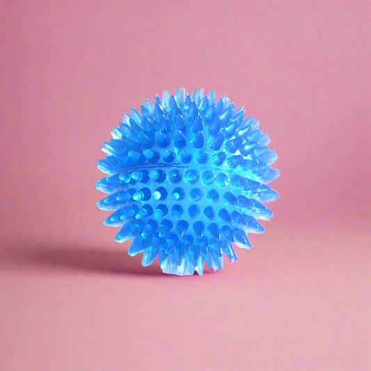 Squeaky Teeth Cleaning Ball for Dogs