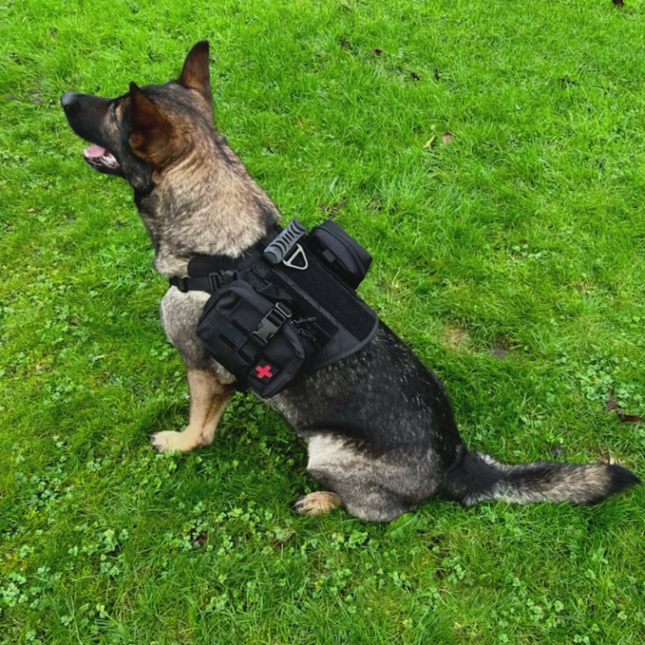 K9 Tactical Harness Bundle