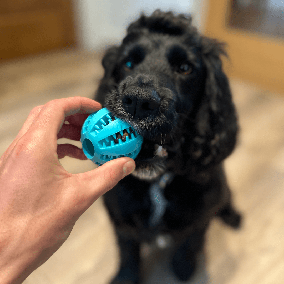 Indestructo Tooth Cleaning Ball
