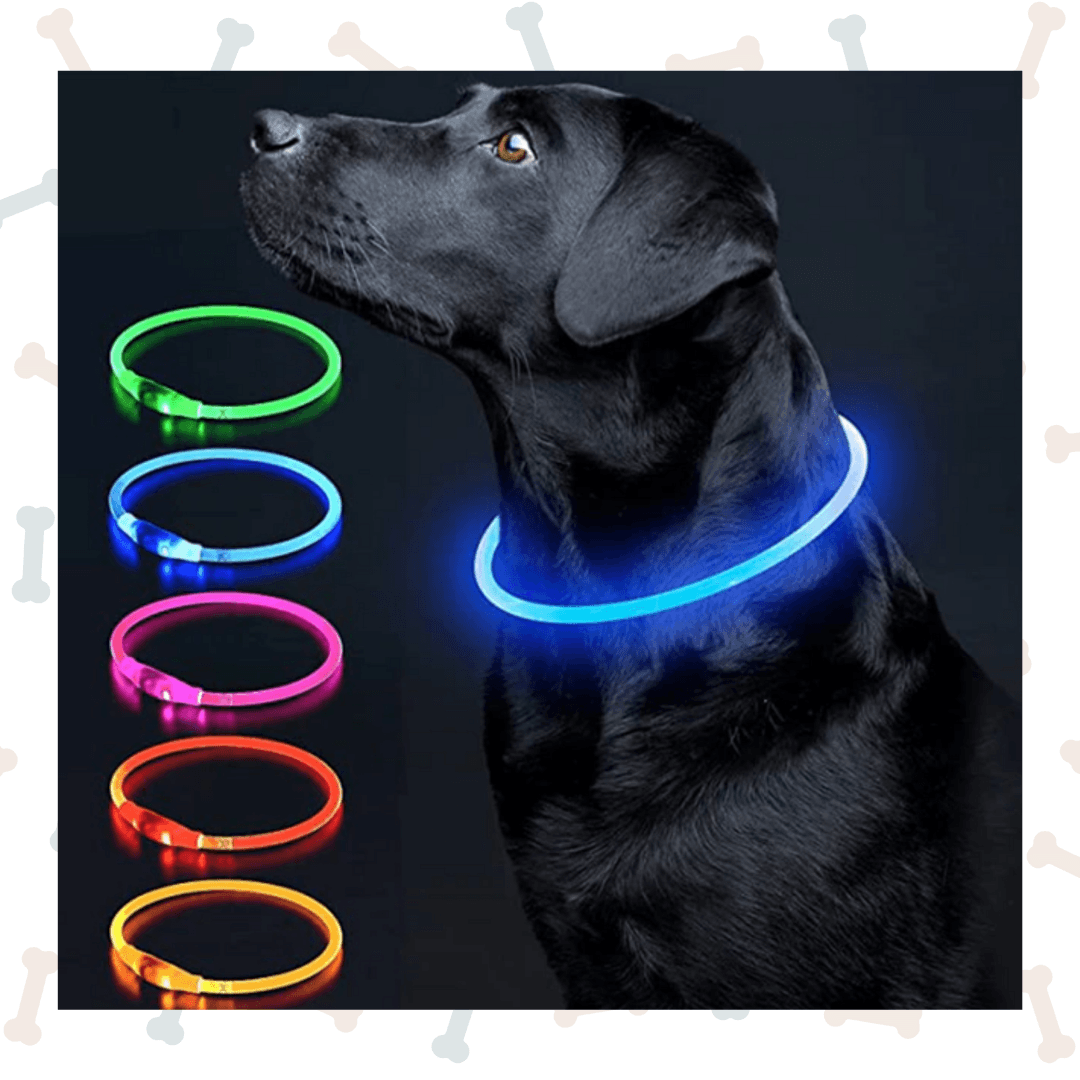 Rechargeable Light Up Dog Ring Collar