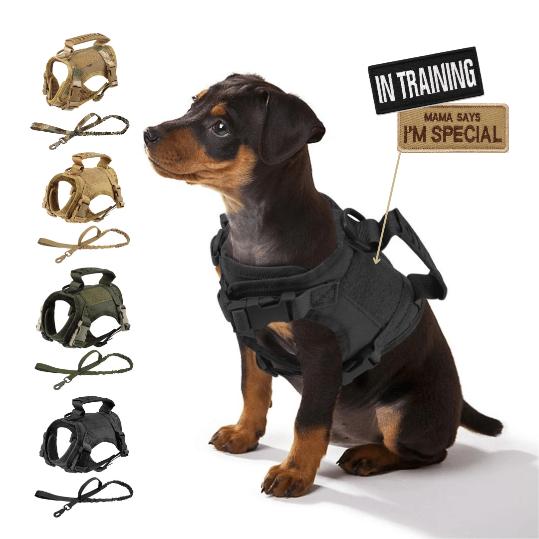 Puppy K9 Tactical Harness and Leash Set