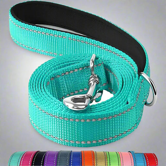 NightGlow Reflective Leash 