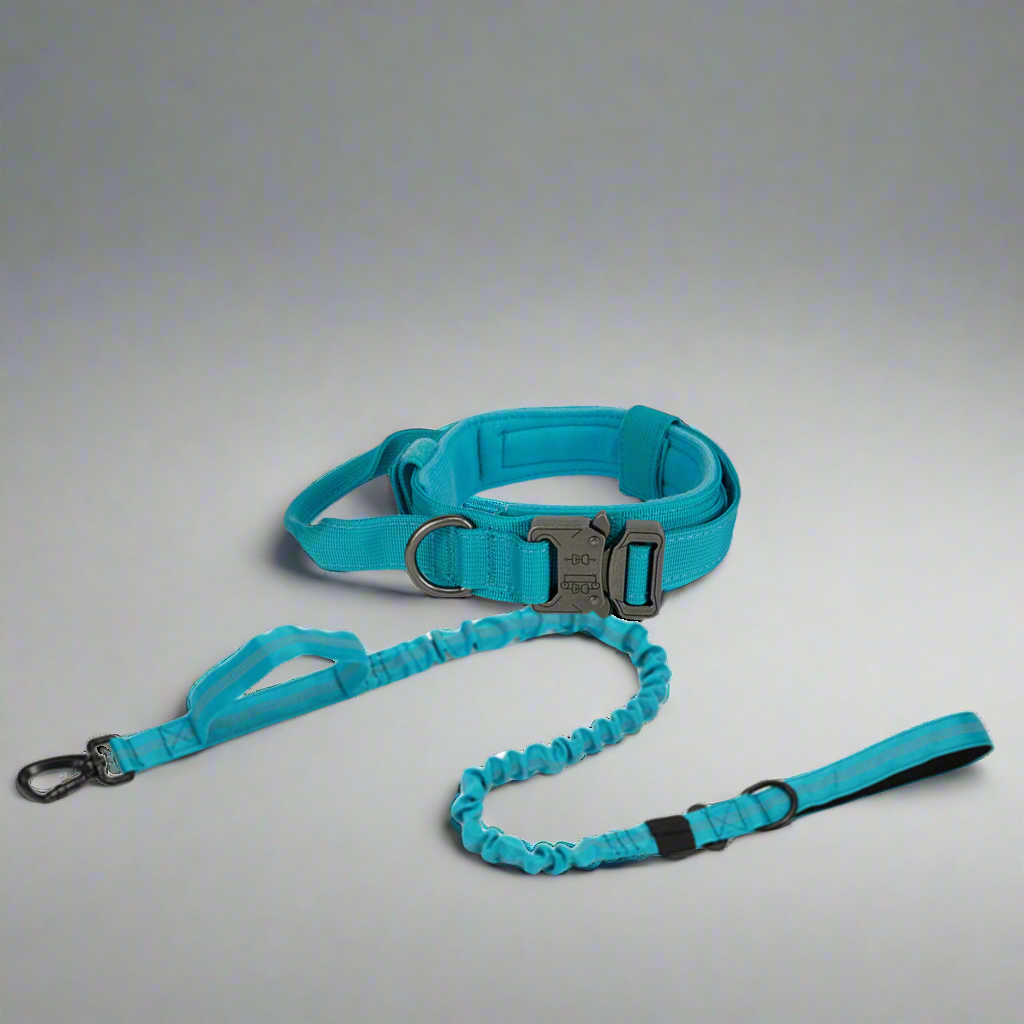 K9 Tactical Dog Collar & Leash Set