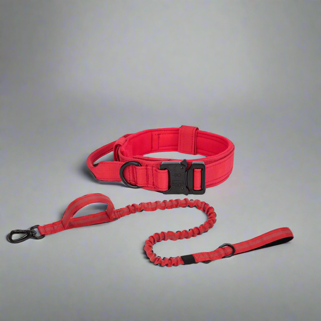 K9 Tactical Dog Collar & Leash Set