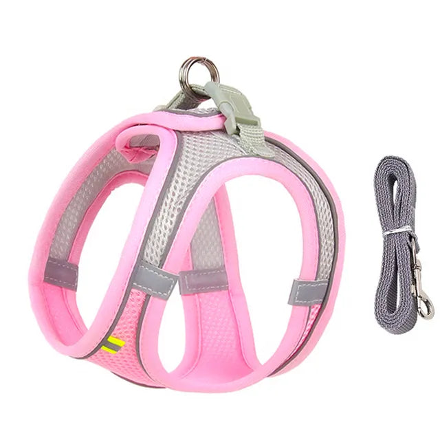 Adjustable Harness and Leash Set for Small Dogs and Cats