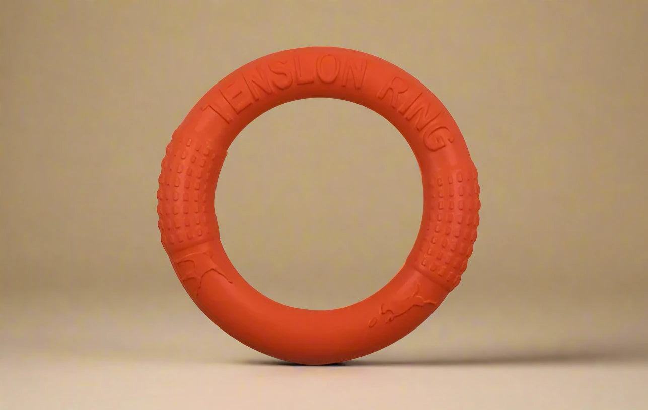 Floating Dog Training Ring for Interactive Play