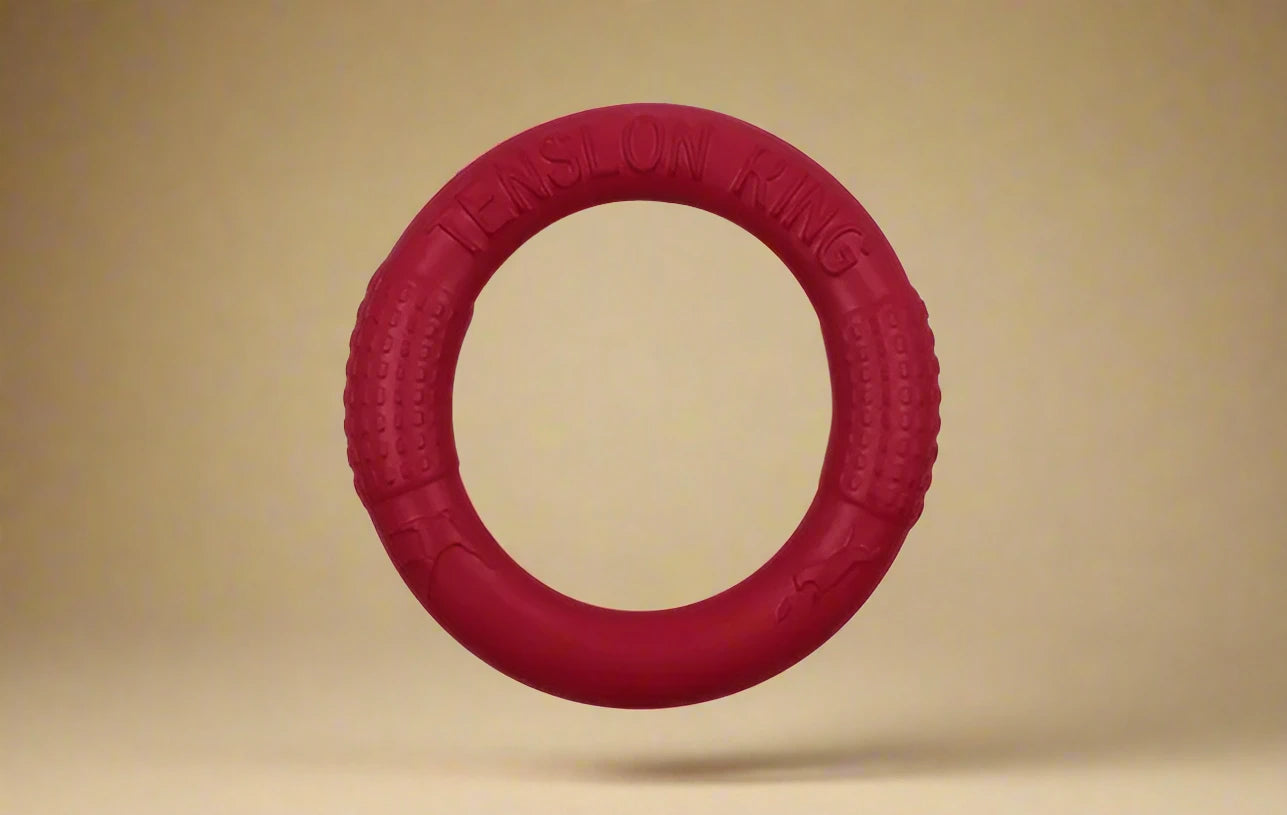 Floating Dog Training Ring for Interactive Play