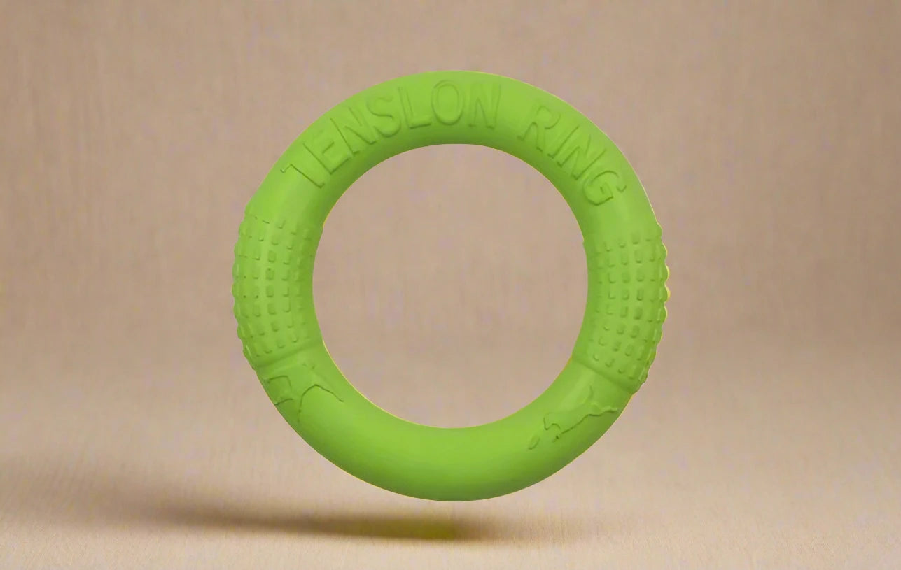 Floating Dog Training Ring for Interactive Play