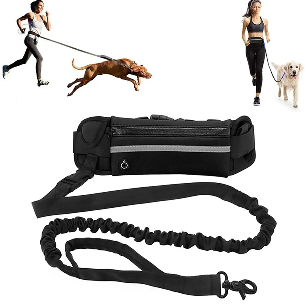 Reflective Hands-Free Dog Leash with Waist Bag