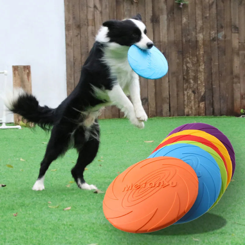 Bite-Resistant Flying Disc for Dog Training and Play