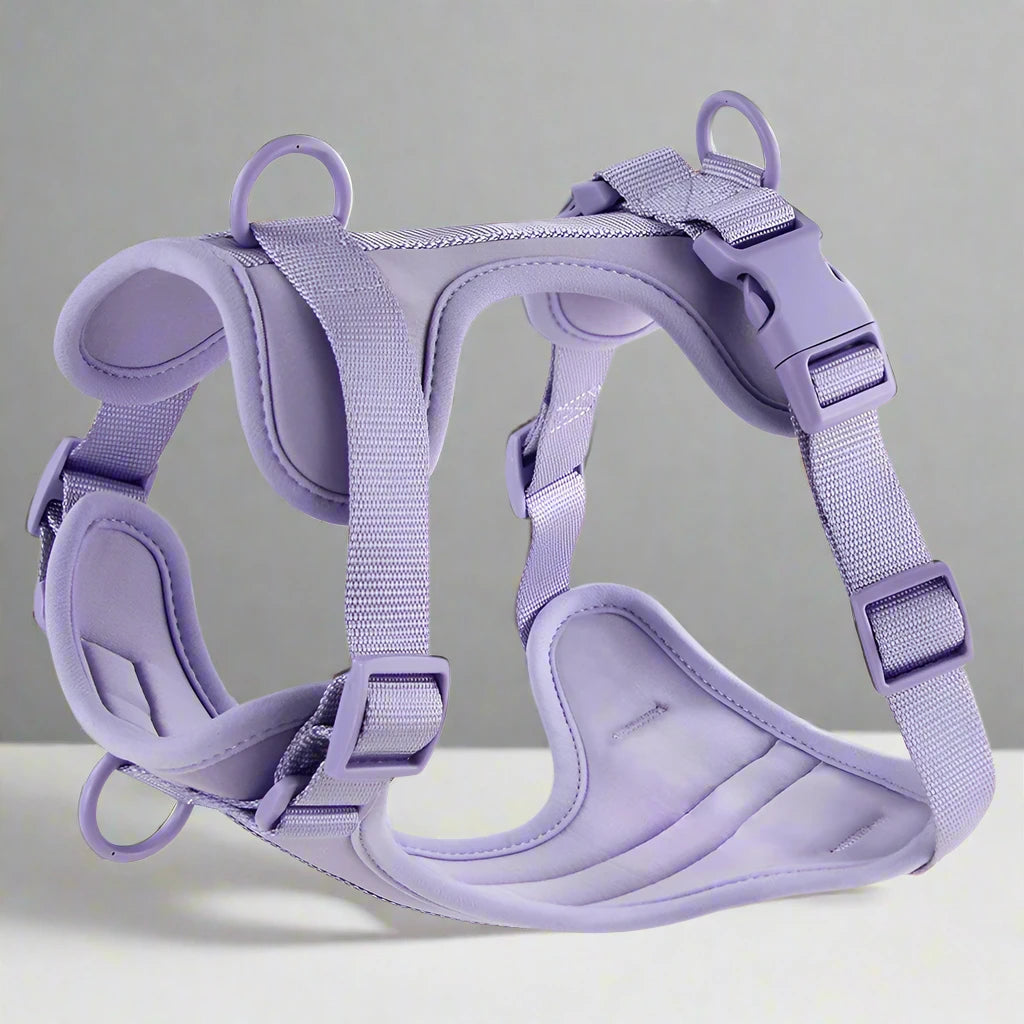 Comfortable PVC Dog Harness & Leash Set