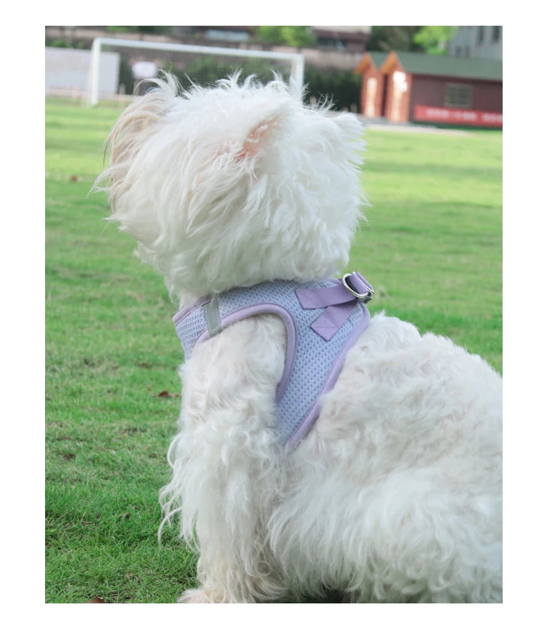 Breathable Waffle Pet Vest Harness with Leash | Reflective Strips | For Small to Medium Dogs