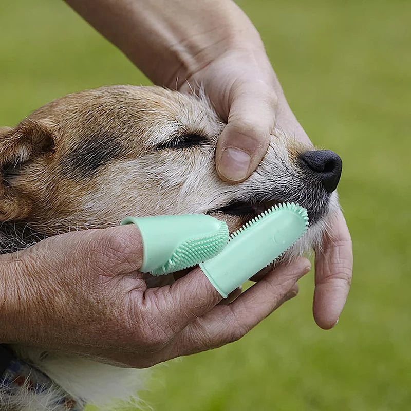 Super Soft Silicone Double Finger Toothbrush for Dogs