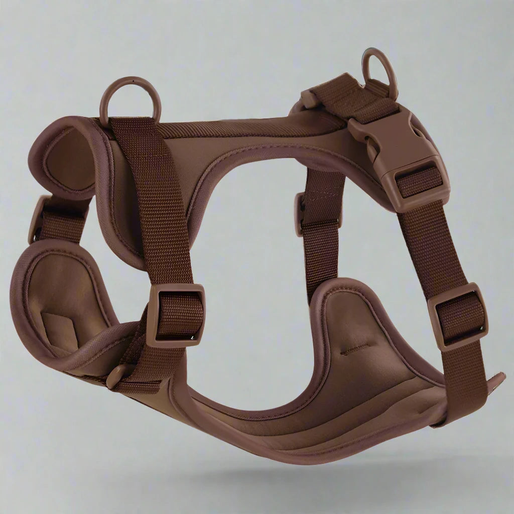 Comfortable PVC Dog Harness & Leash Set