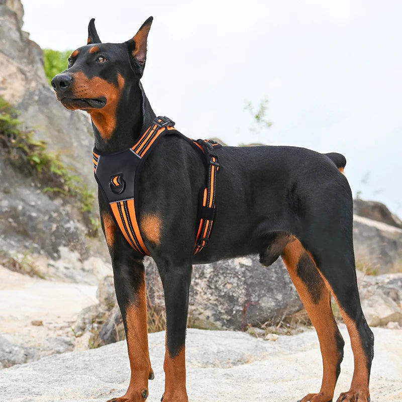 Reflective No Pull Dog Harness | Adjustable Chest Strap & Durable | For Medium to Large Dogs