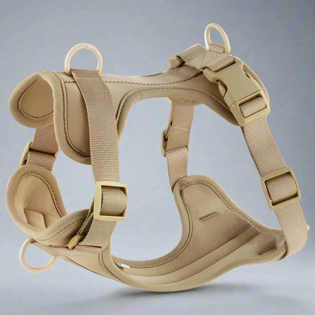 Comfortable PVC Dog Harness & Leash Set