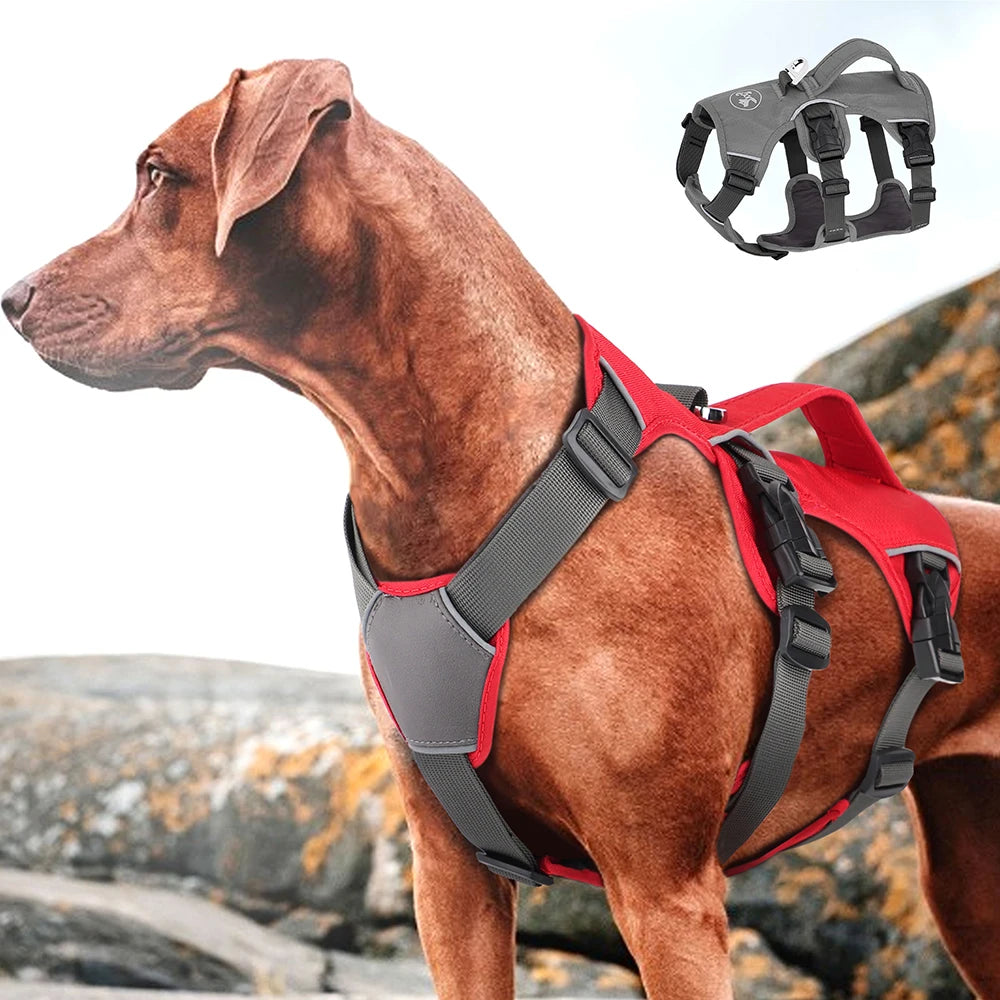 No Pull Dog Harness | Adjustable Reflective Nylon | Waterproof Training & Walking Harness with Handle | For Small to Large Dogs