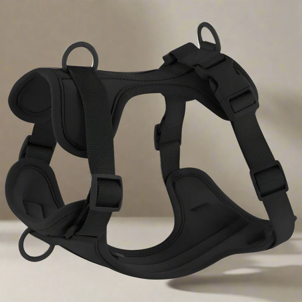 Comfortable PVC Dog Harness & Leash Set