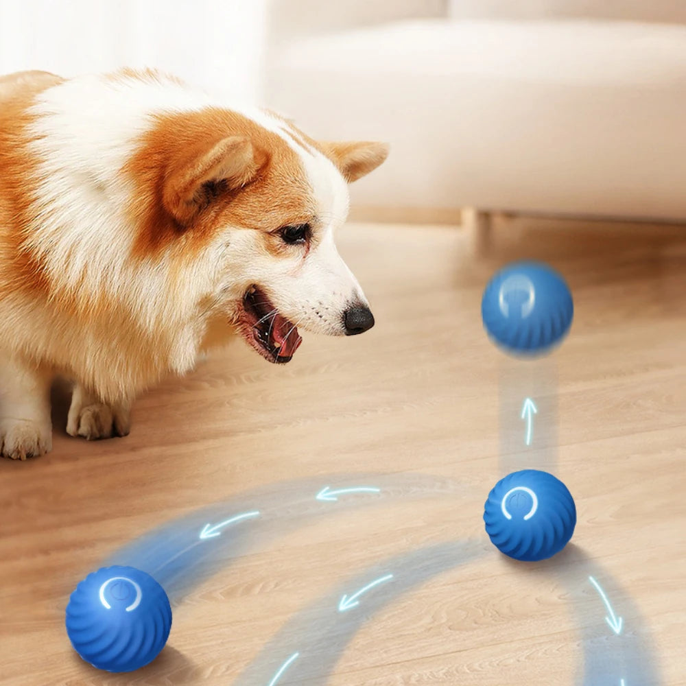 Automatic Interactive Pet Toy Ball for Dogs and Cats