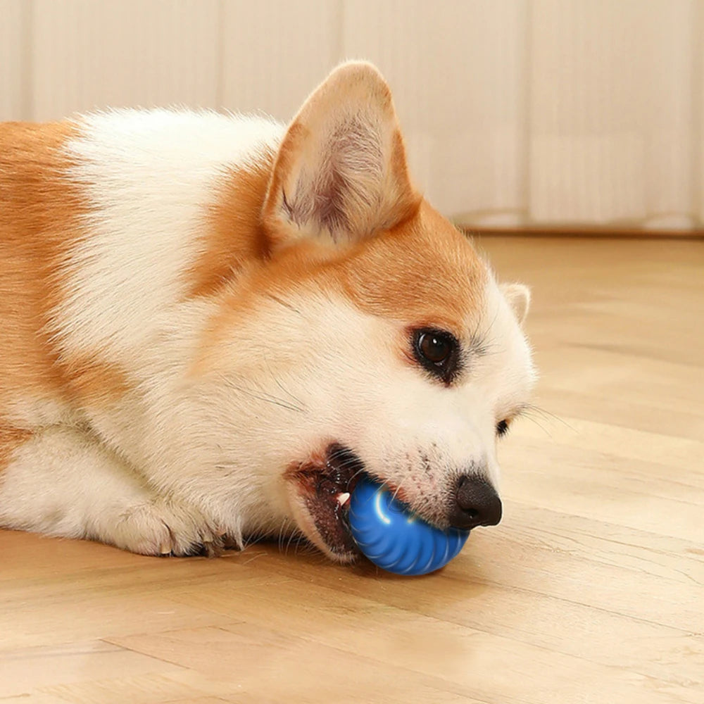 Automatic Interactive Pet Toy Ball for Dogs and Cats