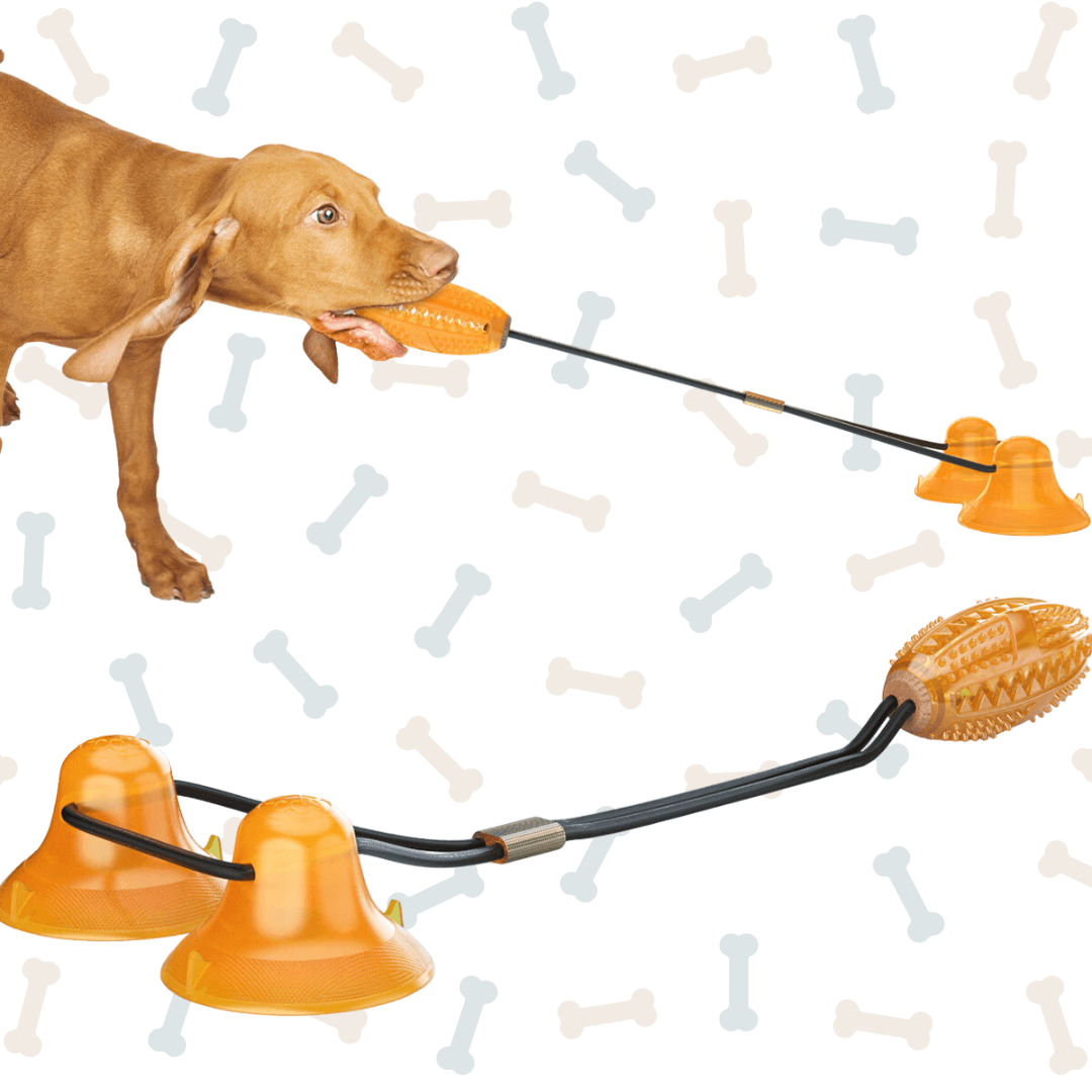 Double Suction Cup Tug Toy