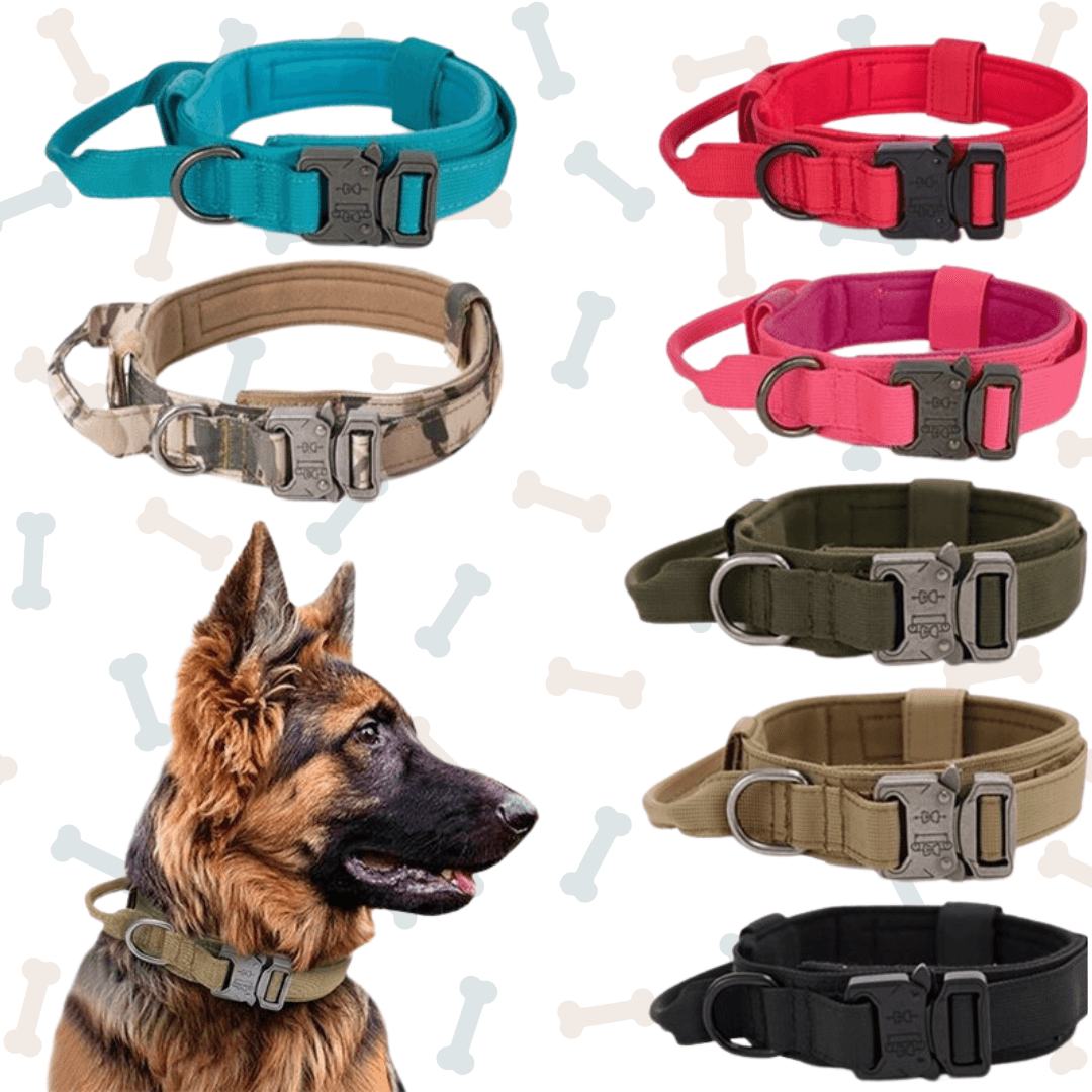 K9 Heavy-Duty Tactical Dog Collar