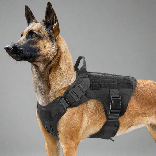 Buy K9 Dog Tactical Harnesses Online K9 Tactical Patches Bits 4 Pets