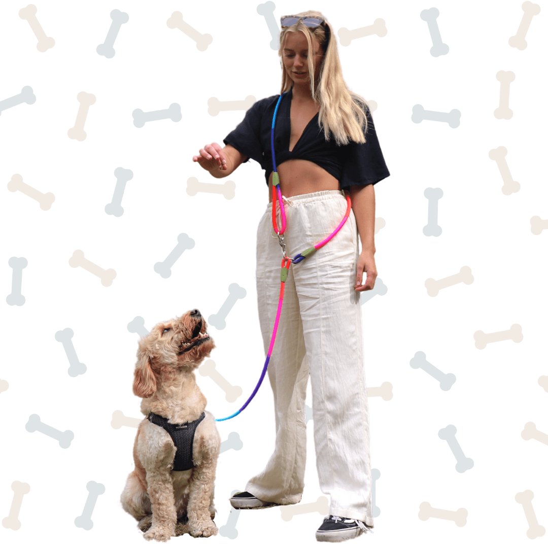 The Hands-Free Rope Leash