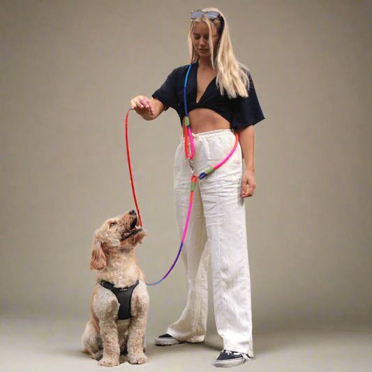 The Hands-Free Rope Leash