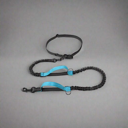 Reflective Hands-Free Elastic Jogging Leash