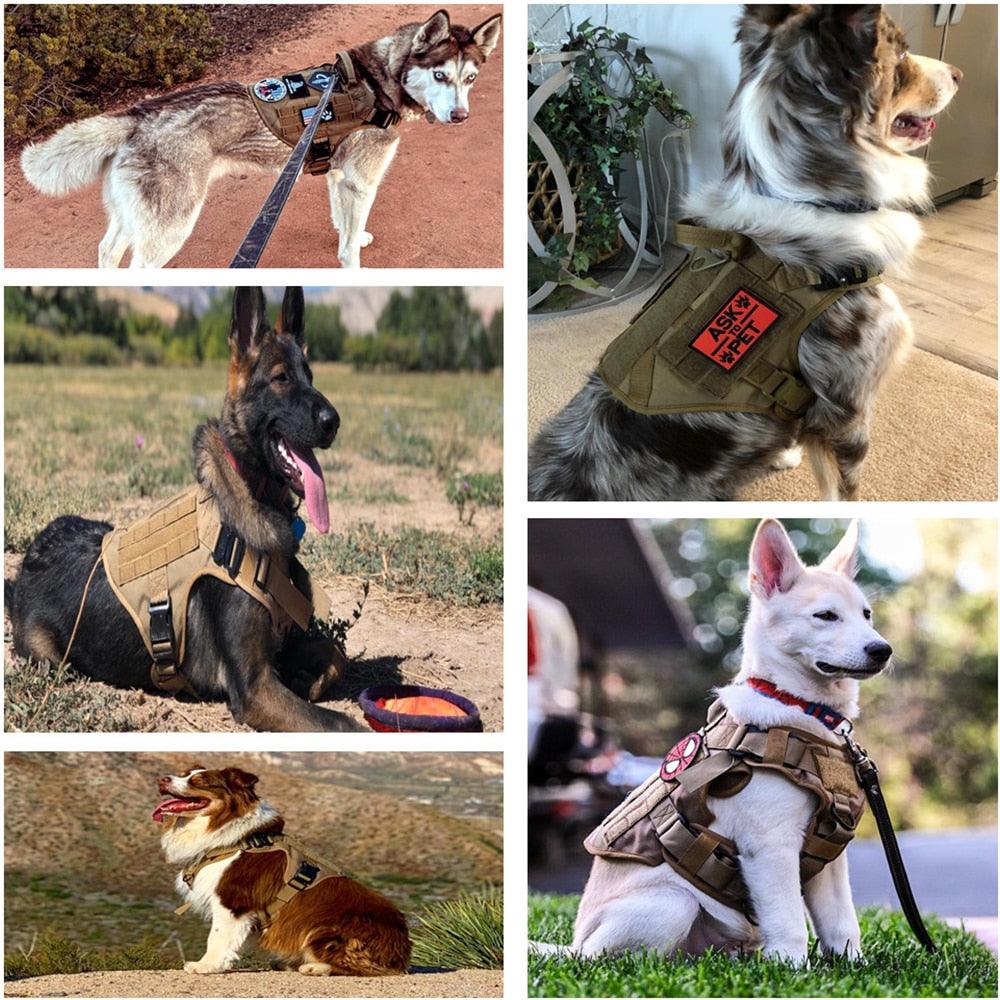 K9 Tactical Harness Bundle