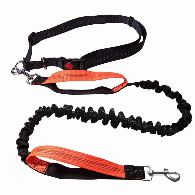 The Hands-Free Bungee Leash