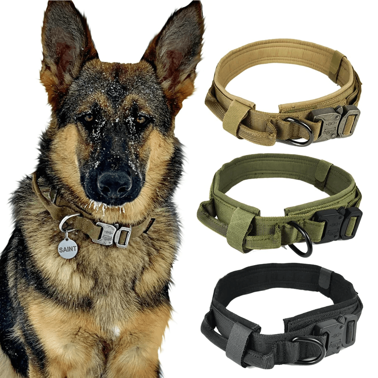 Heavy-Duty Tactical Dog Collar