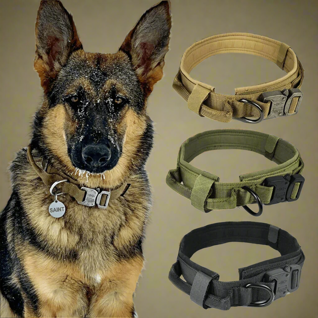 K9 Heavy-Duty Tactical Dog Collar